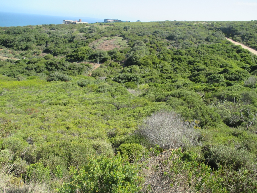 0 Bedroom Property for Sale in Paradise Coast Western Cape